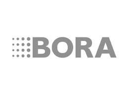 Bora Brand grey logo website